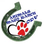 logo-AnimalsMR-10CM